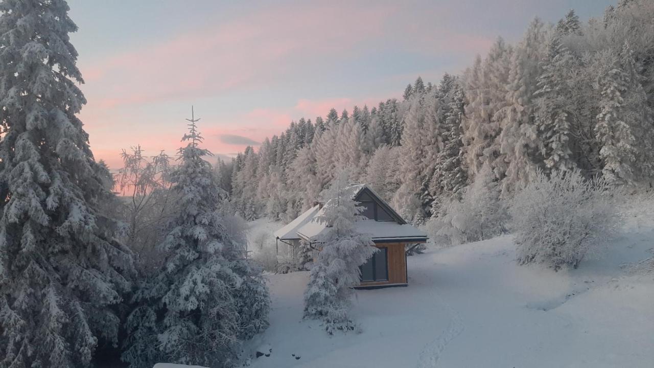 Domki Krynica Krynica-Zdrój