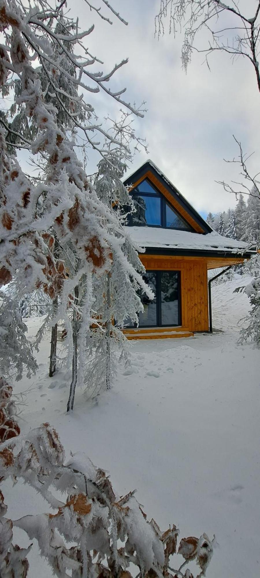 Domki Krynica Domek alpejski