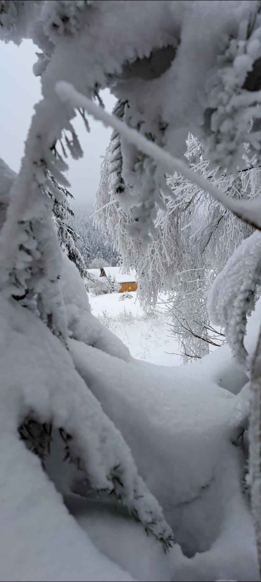 Domki Krynica Domek alpejski