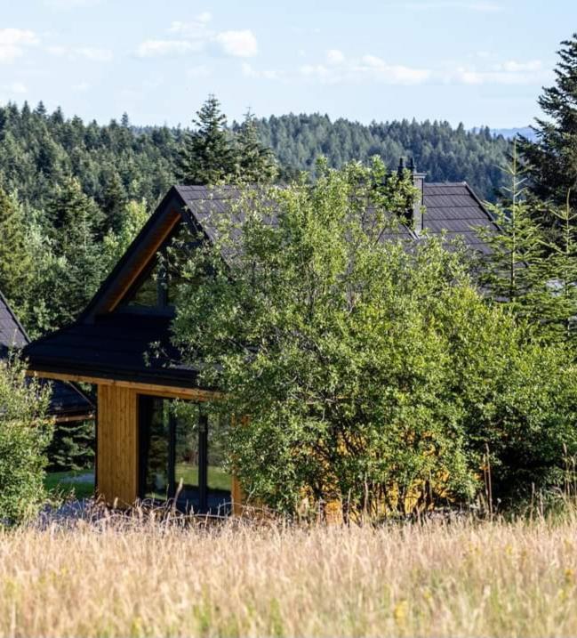 Domki Krynica Domek alpejski